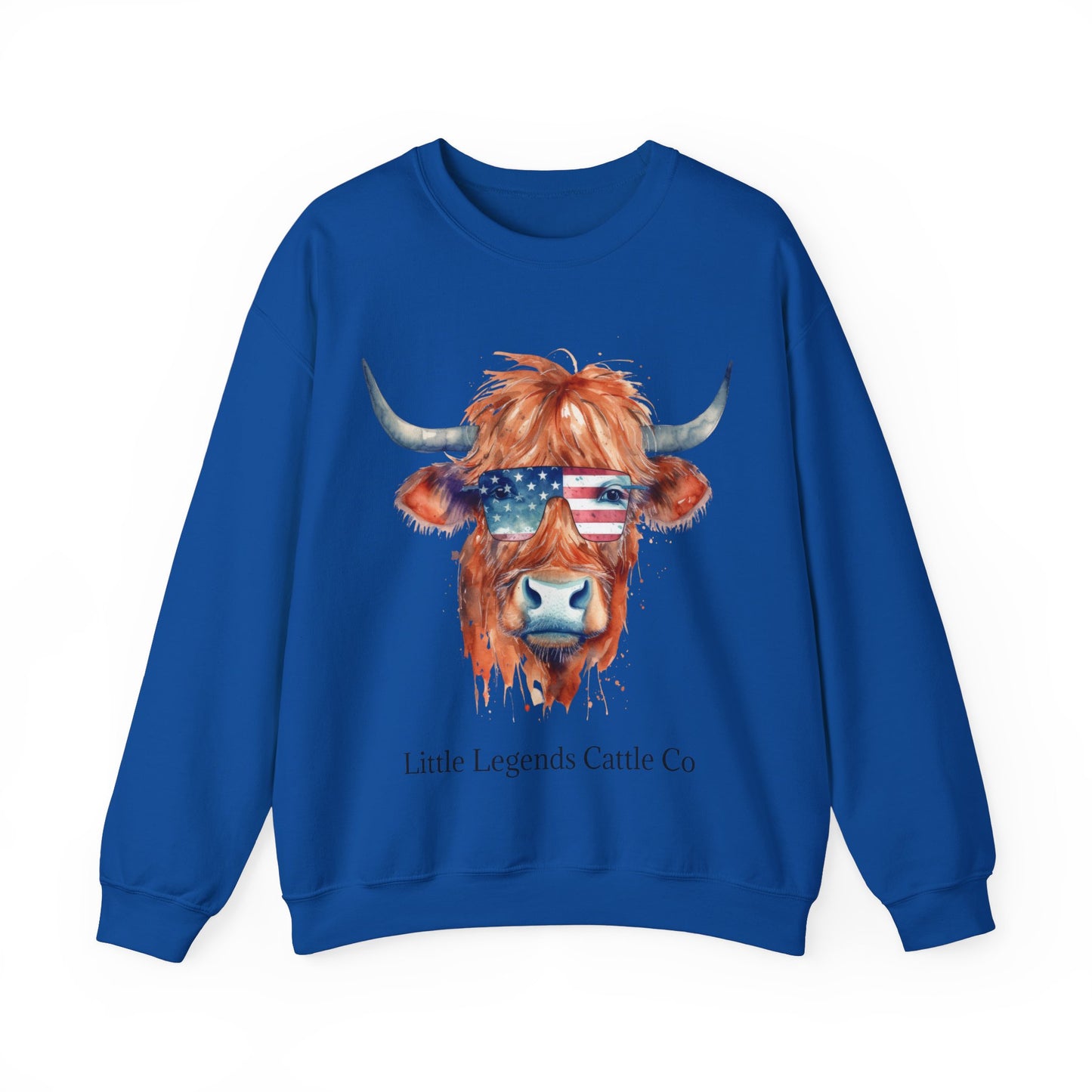 Patriotic Crewneck Sweatshirt - Unisex