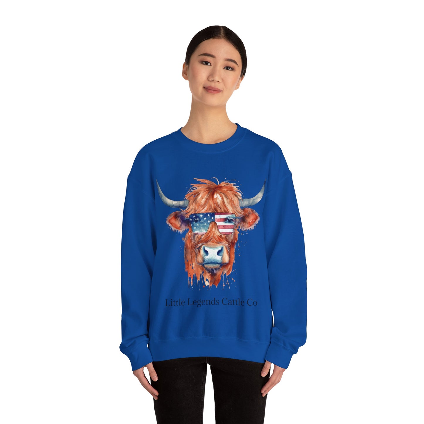 Patriotic Crewneck Sweatshirt - Unisex