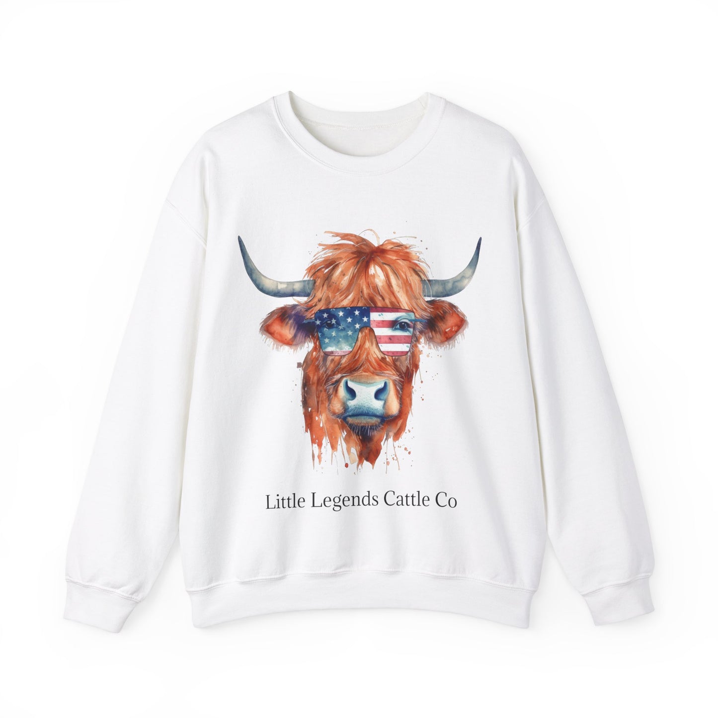 Patriotic Crewneck Sweatshirt - Unisex