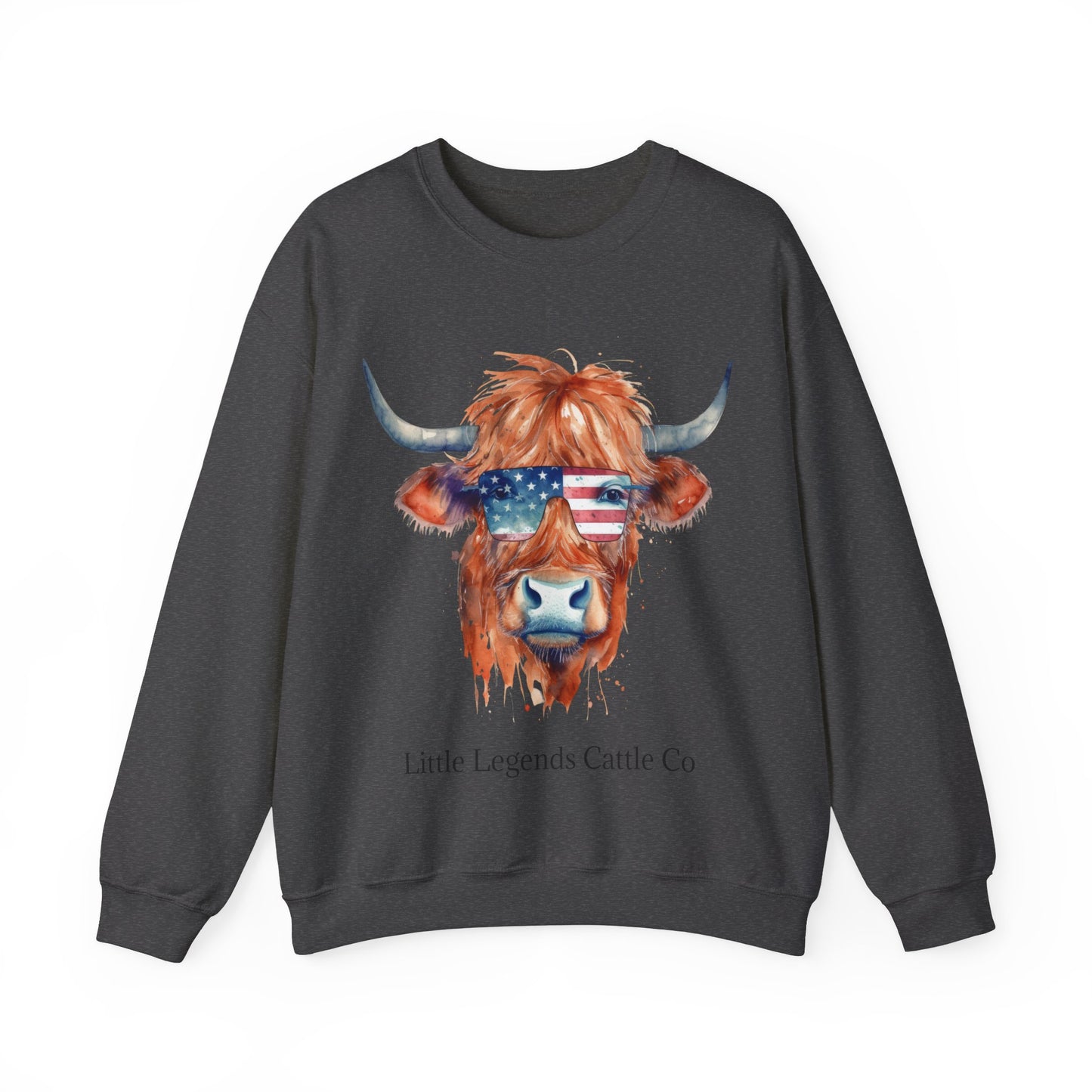 Patriotic Crewneck Sweatshirt - Unisex