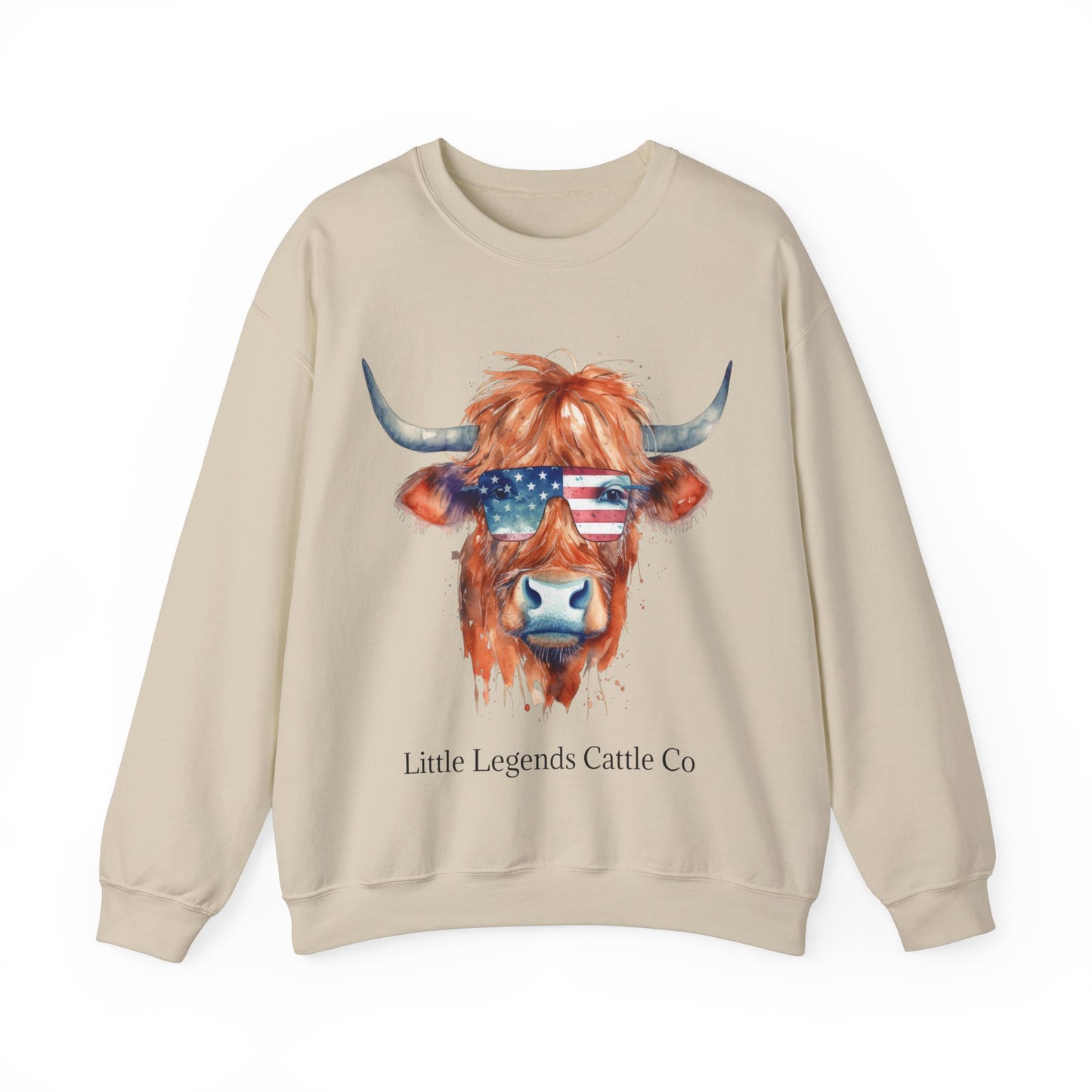 Patriotic Crewneck Sweatshirt - Unisex